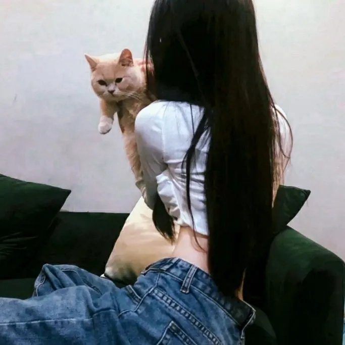 诺姆·麦克唐纳:毫无特别